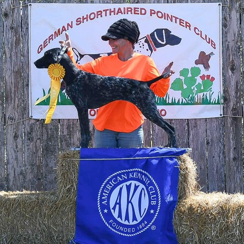 Legacyk - Pearl and Jenny had a great weekend at the German Shorthaired ...