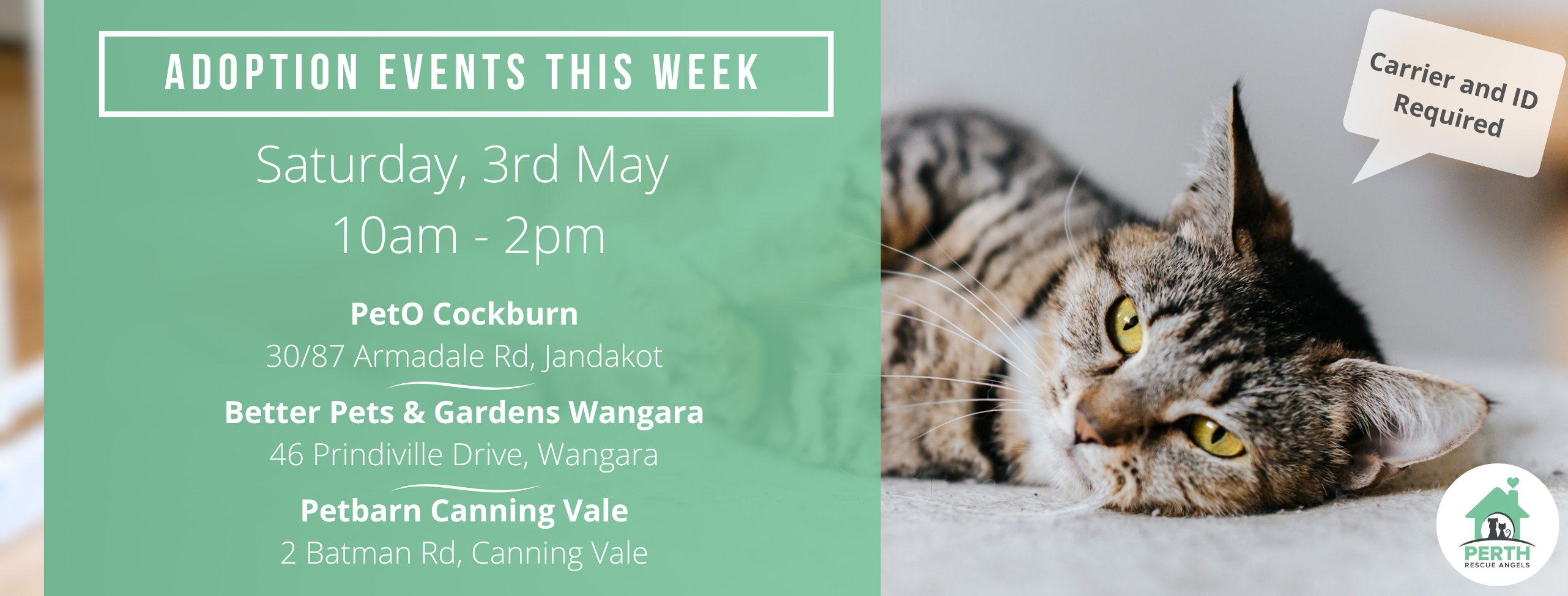 Perth Rescue Angels | Perth WA