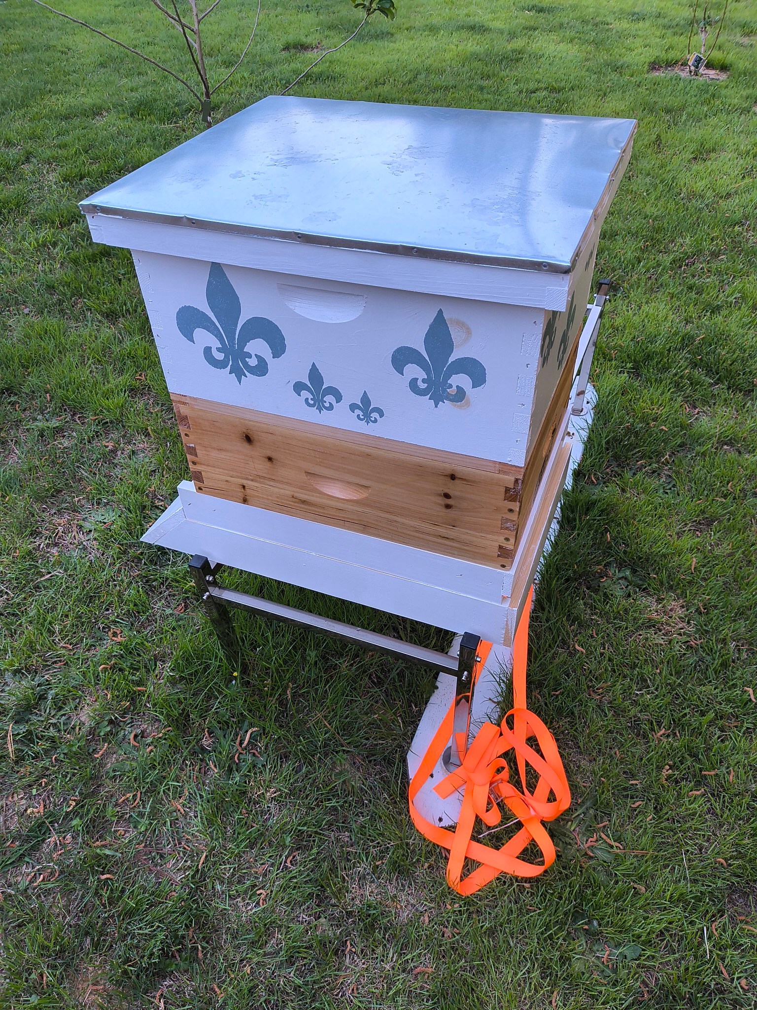 The Apiary is... - The Monastery of Our Lady of Good Hope | Facebook