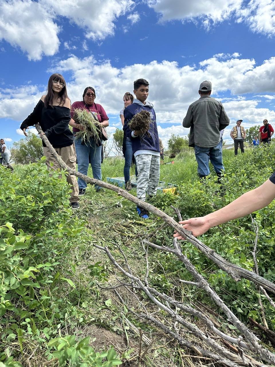 Oglala Lakota College Department of Math, Science, and Technology added ...