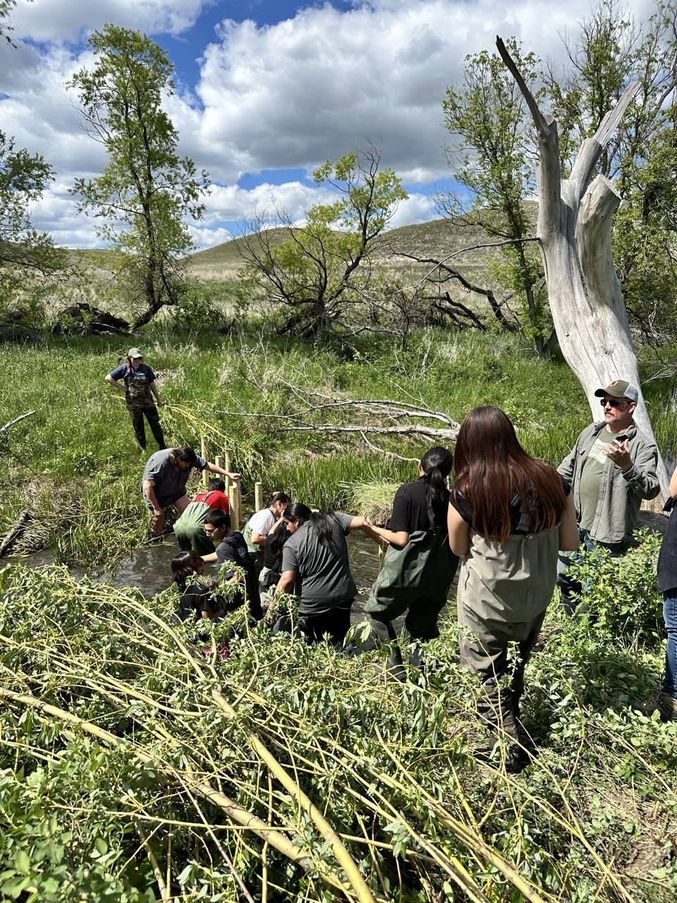 Oglala Lakota College Department of Math, Science, and Technology added ...
