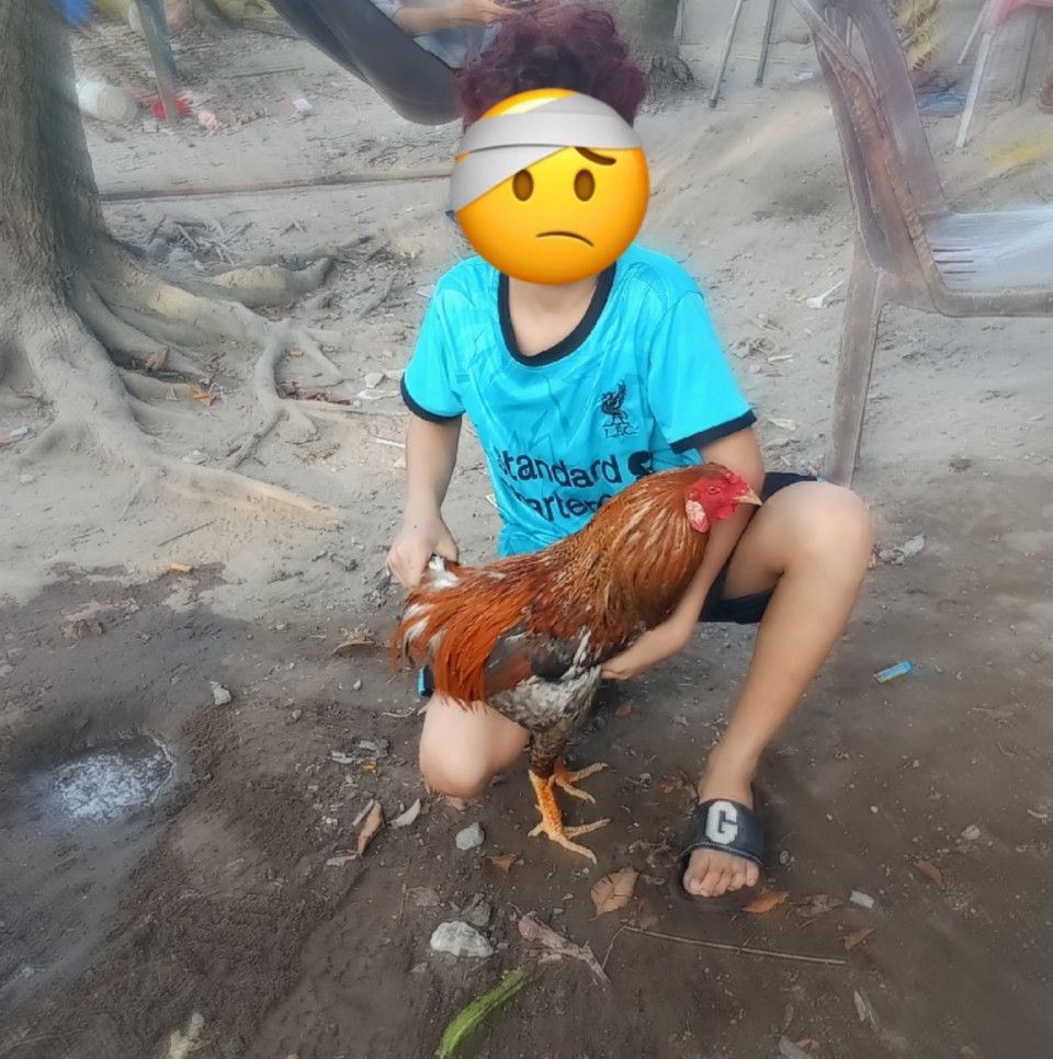 Vo Dat