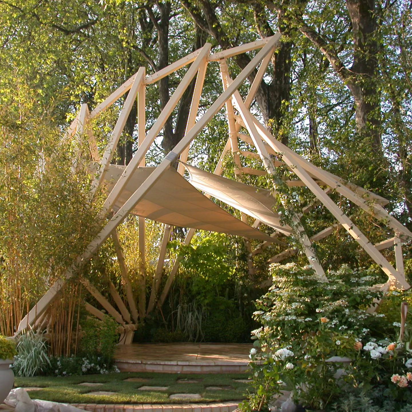 Timber Intent Ltd