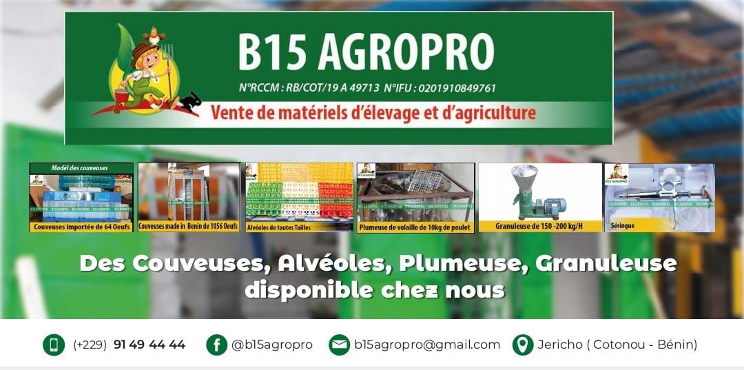 GDS Plus - GDS Plus added a new photo.