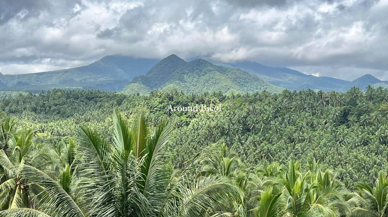 Around Bicol - 𝐀𝐝𝐞𝐥𝐚𝐢𝐝𝐚 𝐅𝐚𝐫𝐦 & 𝐏𝐚𝐢𝐧𝐮𝐦𝐚𝐧 𝐁𝐚𝐤𝐚 𝐄𝐜𝐨 𝐑𝐞𝐬𝐨𝐫𝐭🌲🌲 Nasa Brgy ...