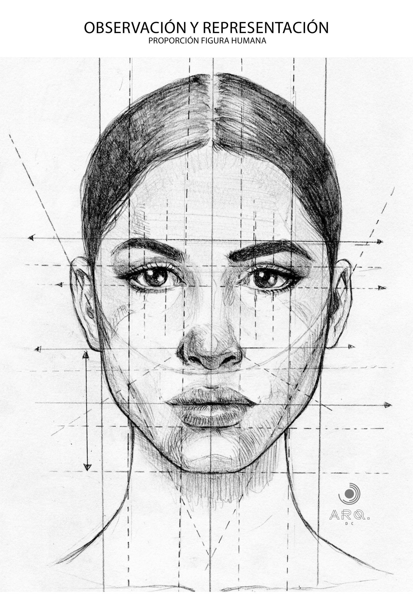 Arquitectura - - La incorporación del estudio de la proporción facial ...