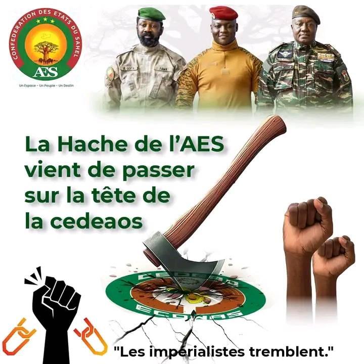 🔥 Reman est de retour avec 