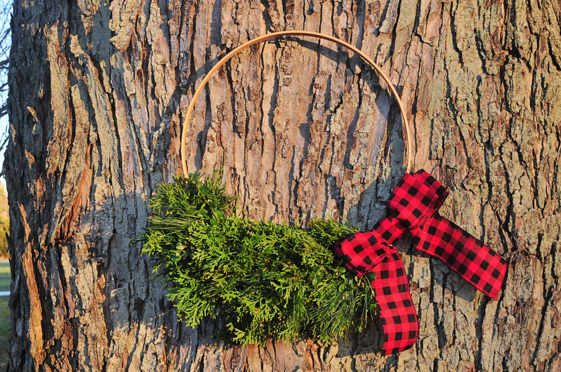 Rustic Roots Homestead LLC