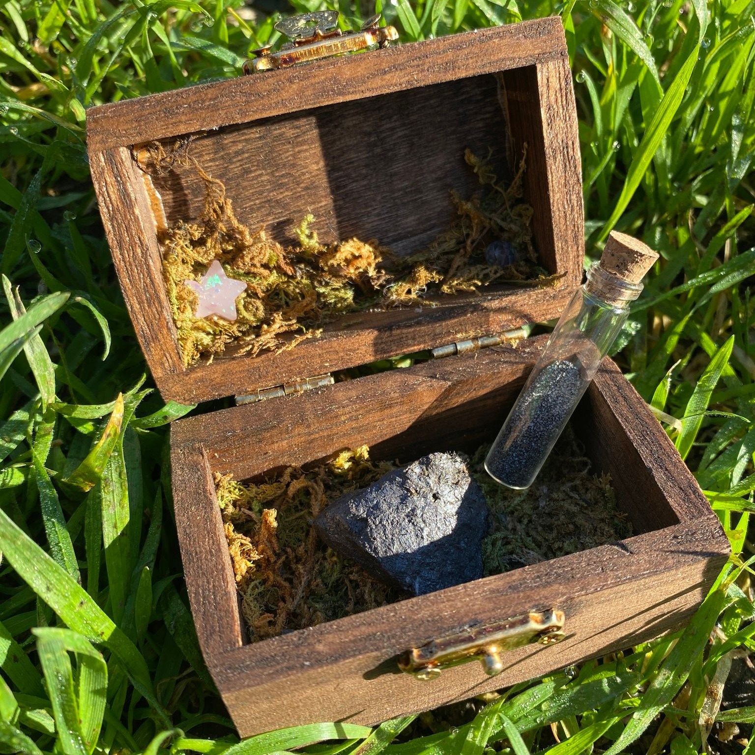 🪨The Witch's Pet Rock... - Green Witch of Willow Glen