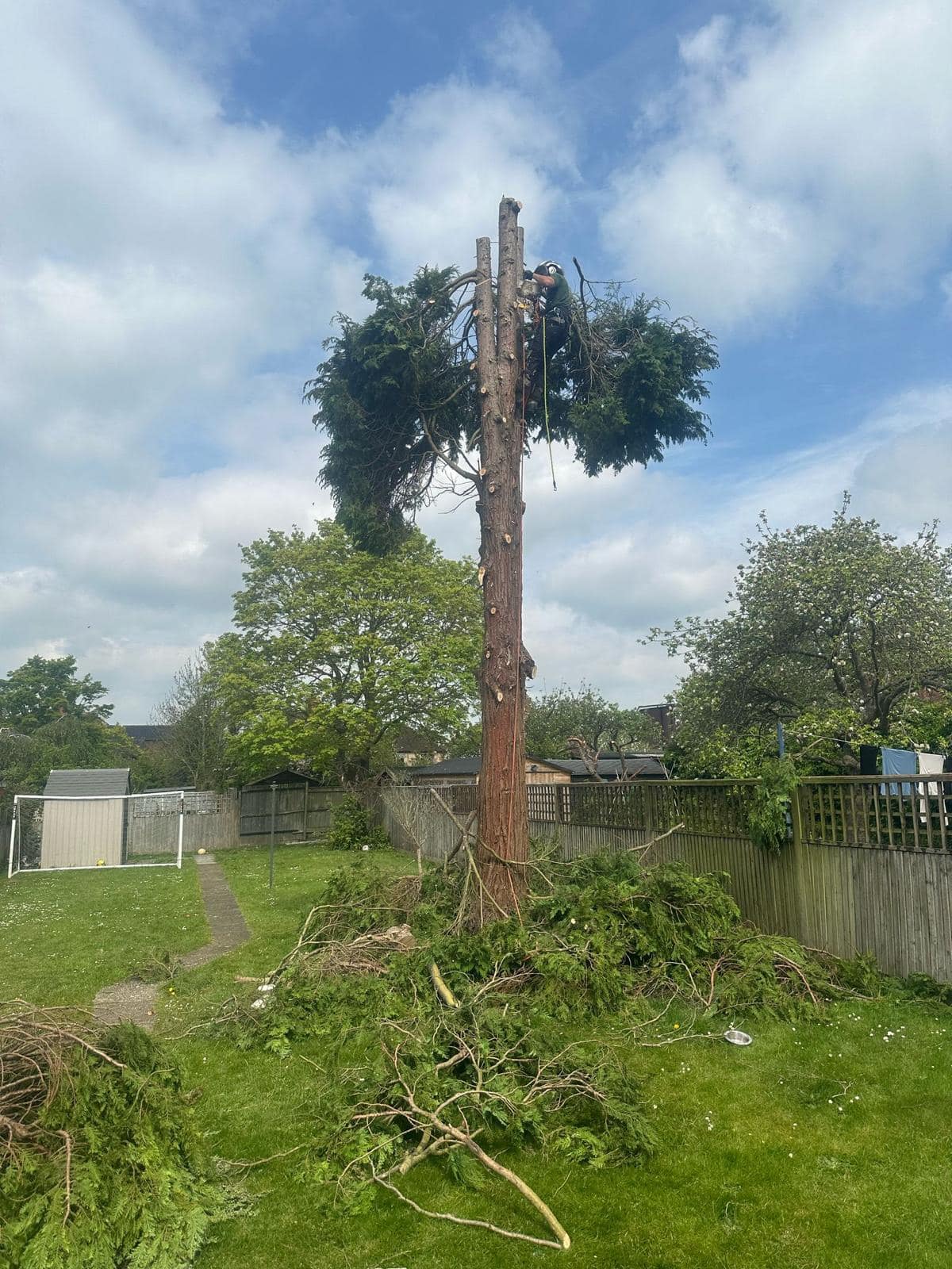 kingshill-tree-and-garden-services-ltd-wokingham