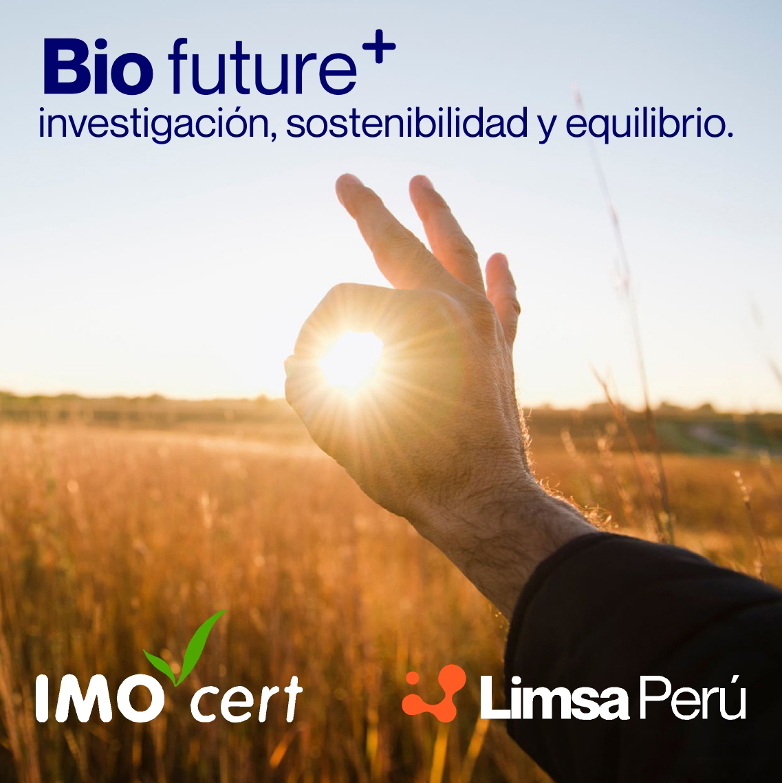 LIMSA PERU | Lima