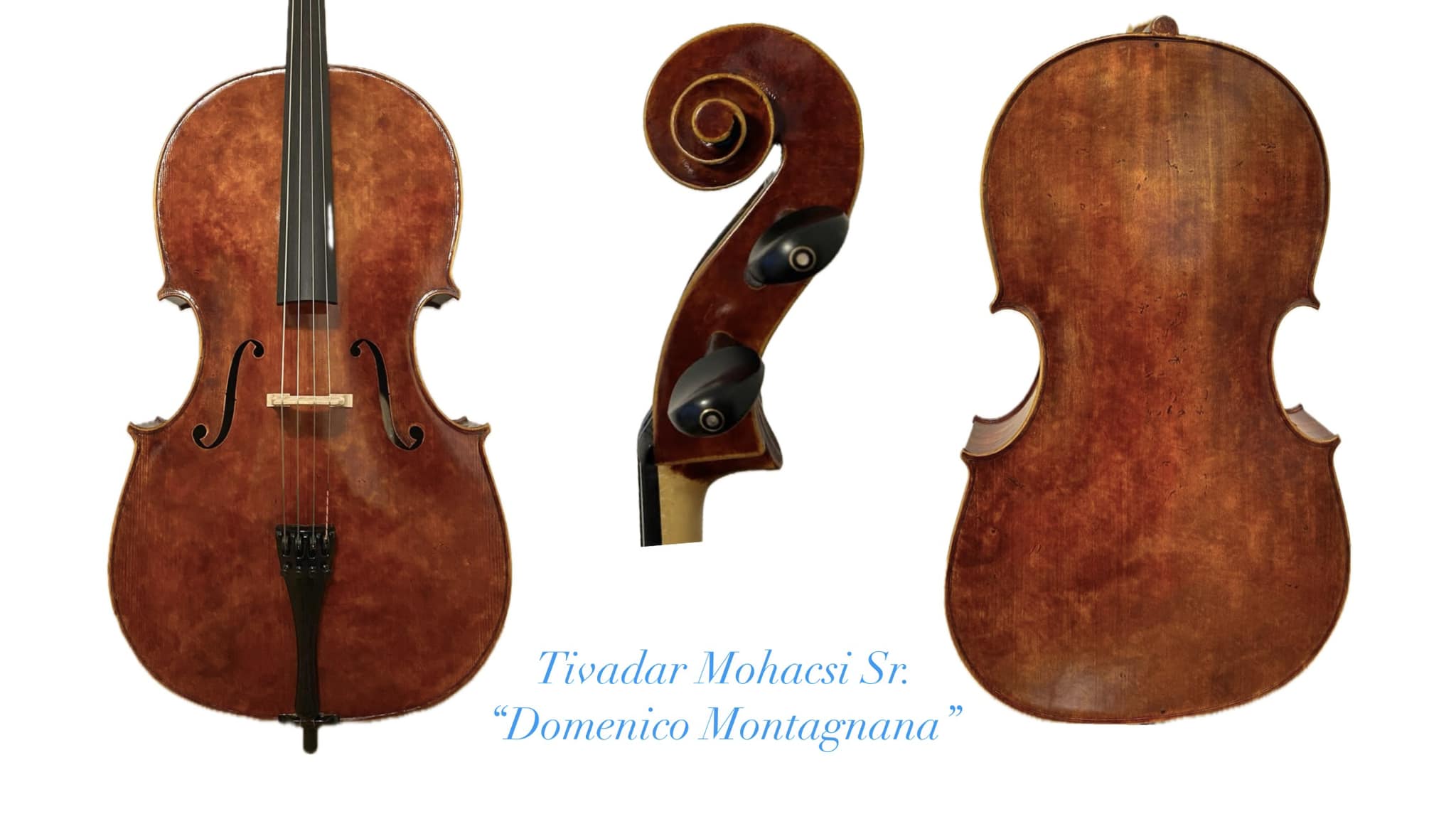 Luthier's third Montagnana-derived cello