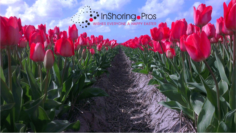 InShoring Pros | Amsterdam