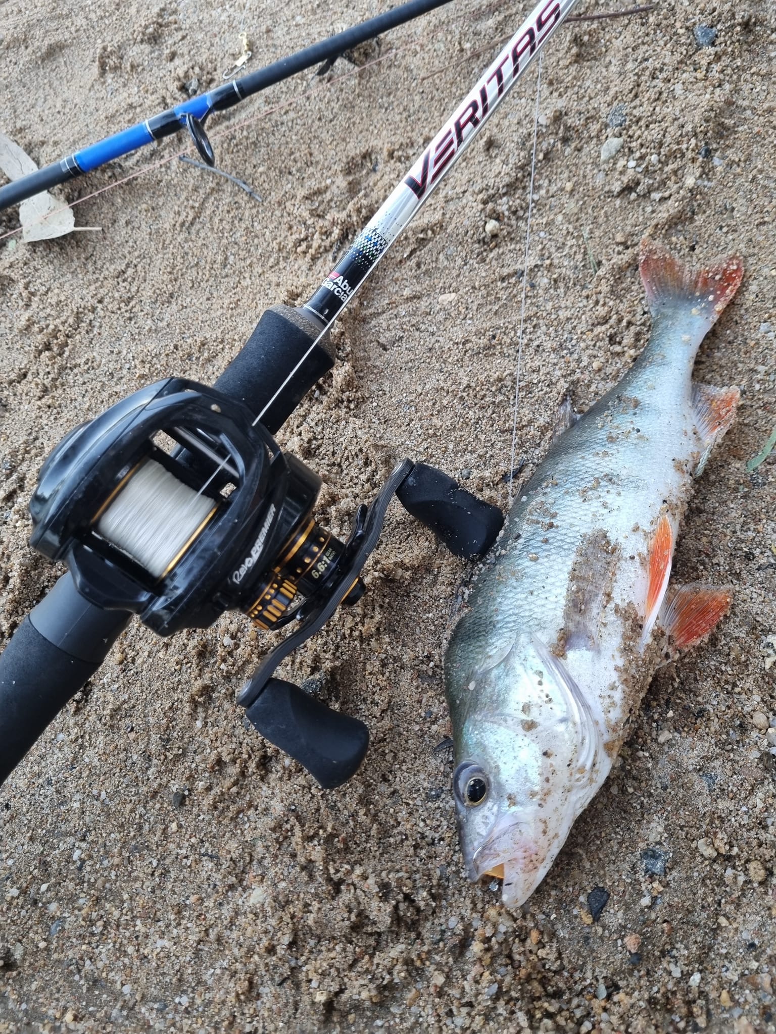 beach baitcasting abu reel Garcia MAX STX Low Profile Built tough with an A Abu Garcia Revo X Low