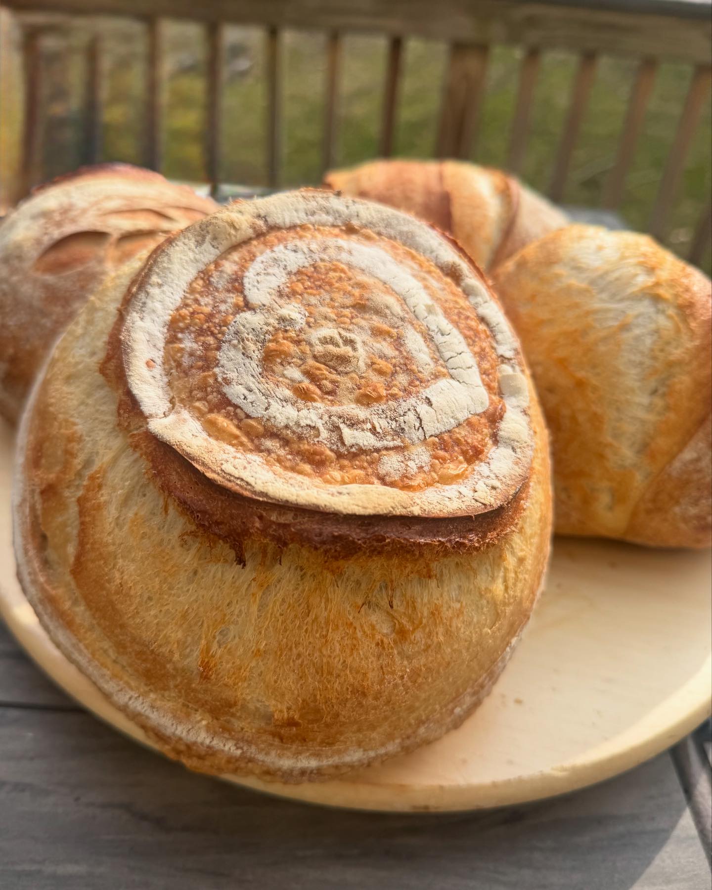 Ancient Sourdough Bread... - Ancient Sourdough Bread Bakery