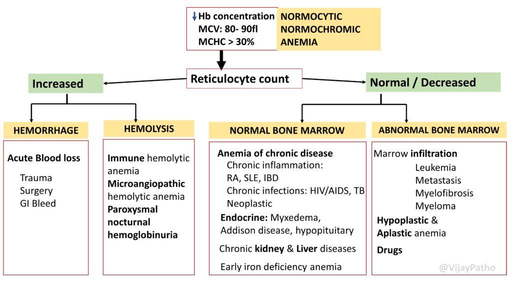 Ilovepathology - Normocytic normochromic anemia is a type of anemia ...
