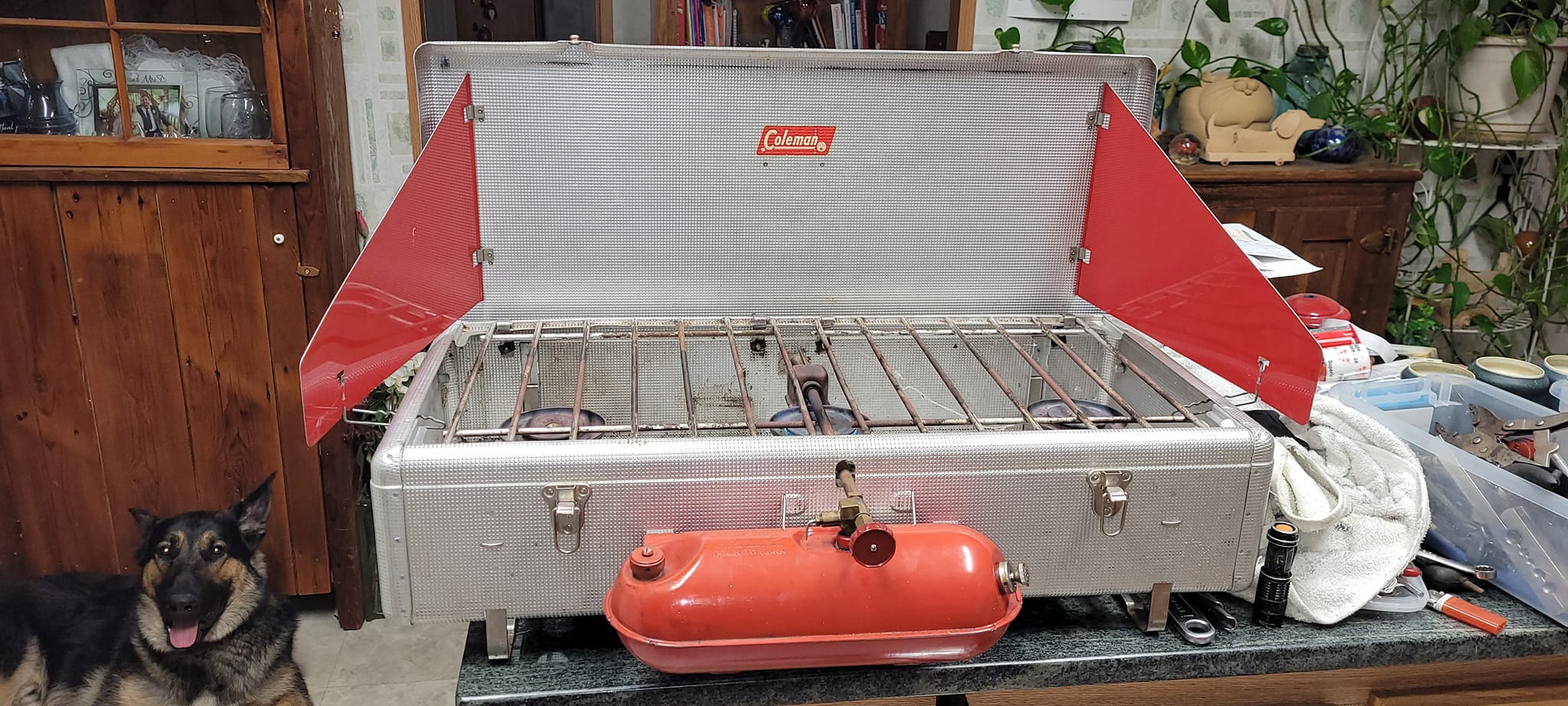 Vintage Coleman 413D camping stove review and discussion