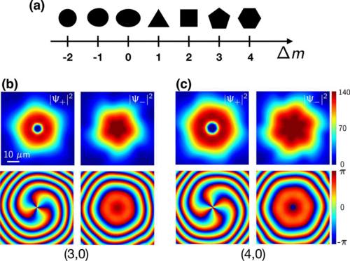 Nassim - A vortex is a physical phenomenon in fluid dynamics wherein ...