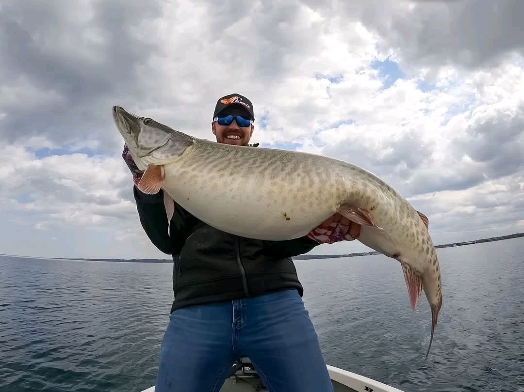 Geraldo - World record musky measured 51.5 inches long and 26 inches ...