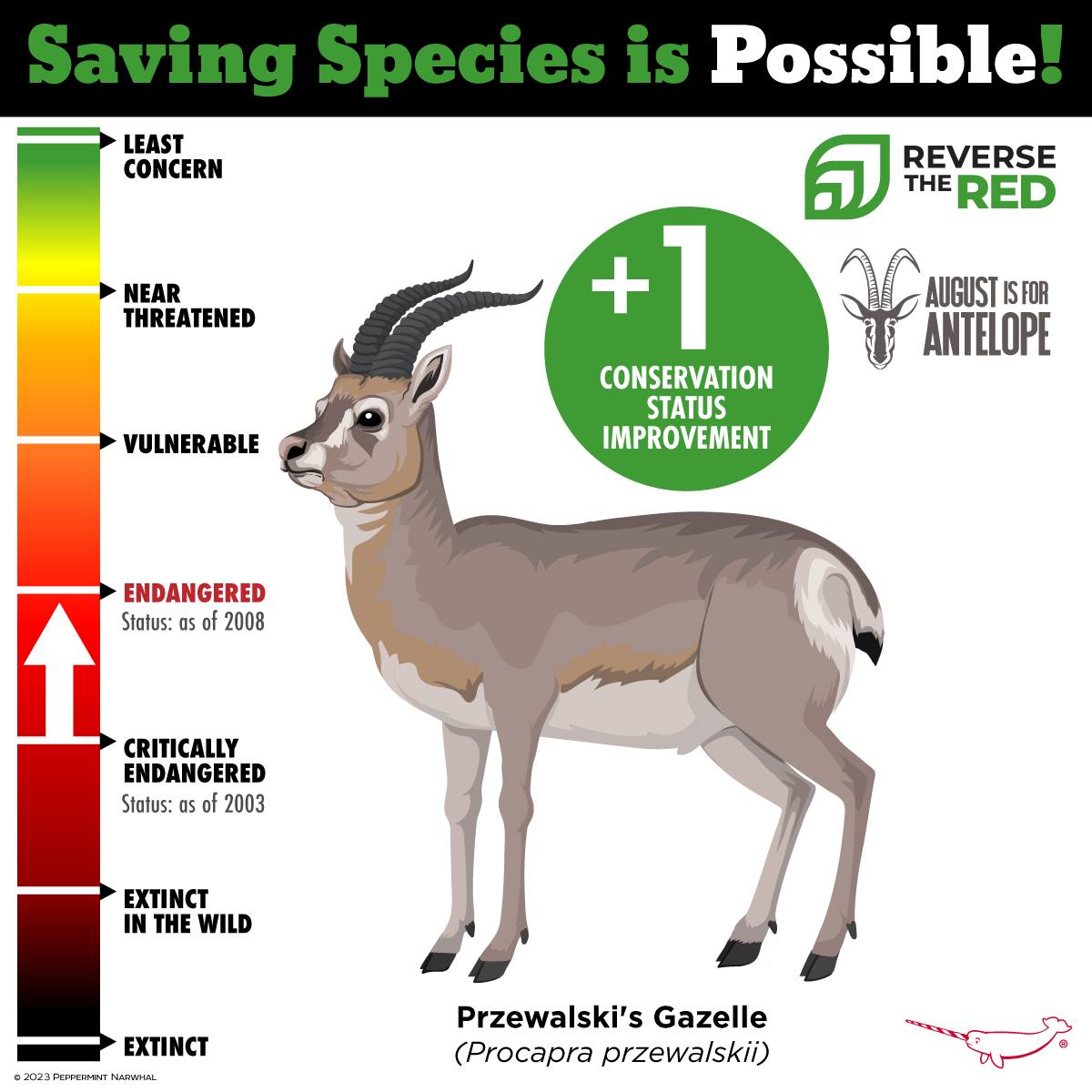 peppermint-this-year-s-august-for-antelope-celebration-will-include