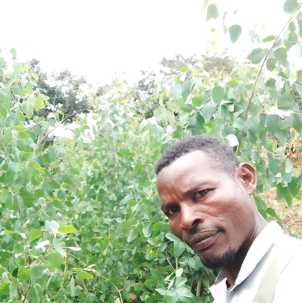 Adimasu Aweke