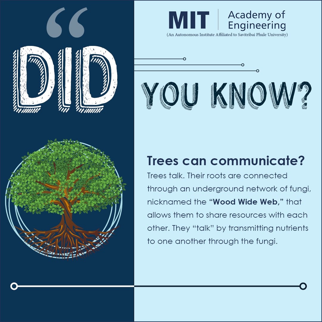 Did you know trees can... - MIT Academy of Engineering