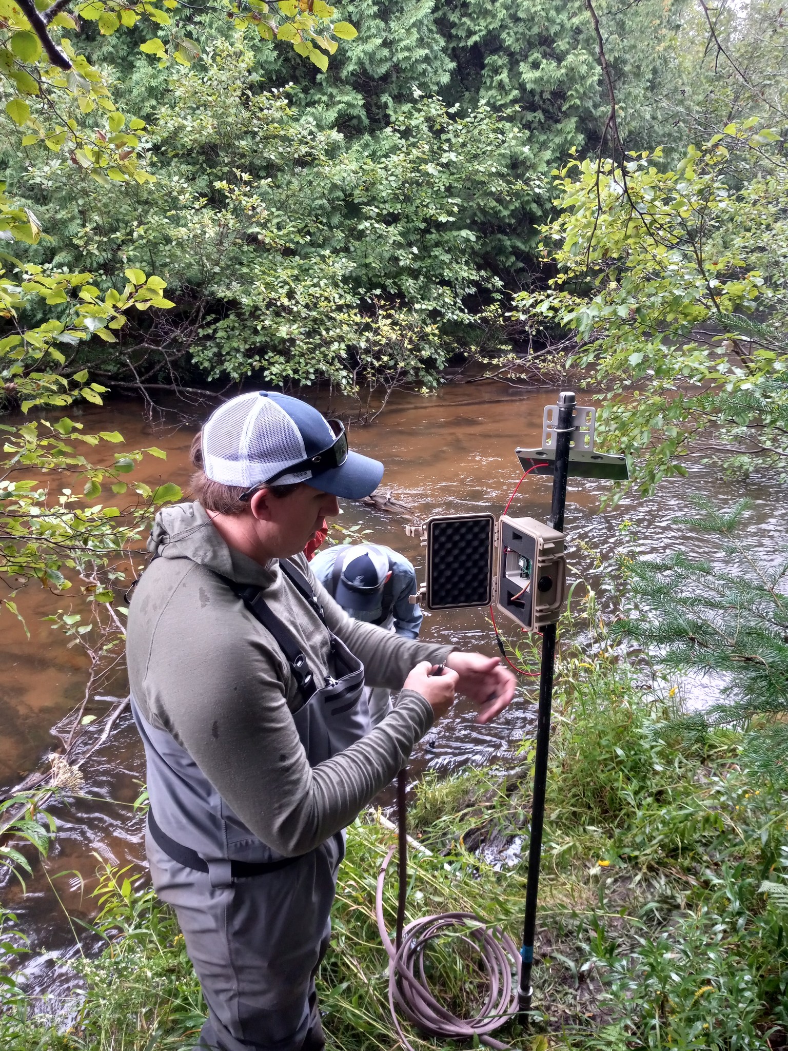 Pine River Area Chapter Trout Unlimited - NW Michigan