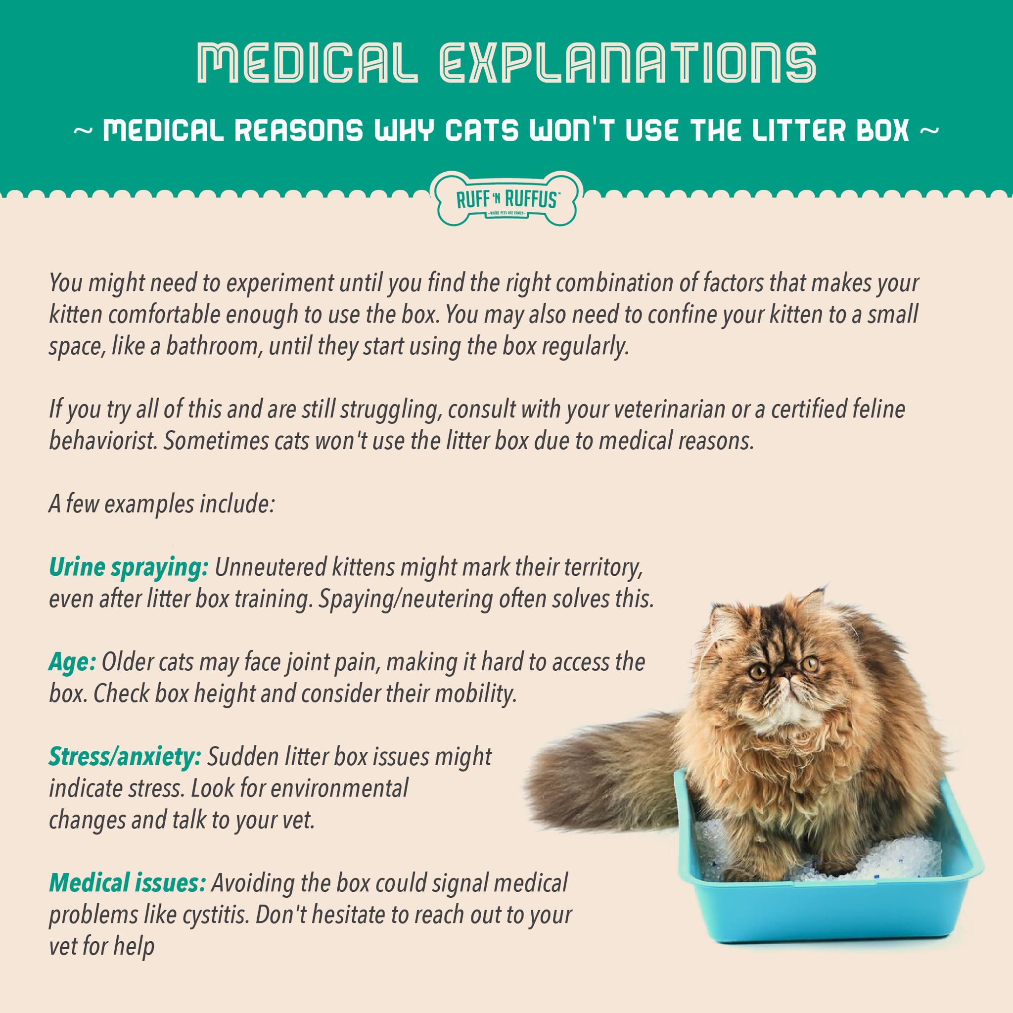 Ruff 'N Ruffus - Here are the potential reasons why cats...