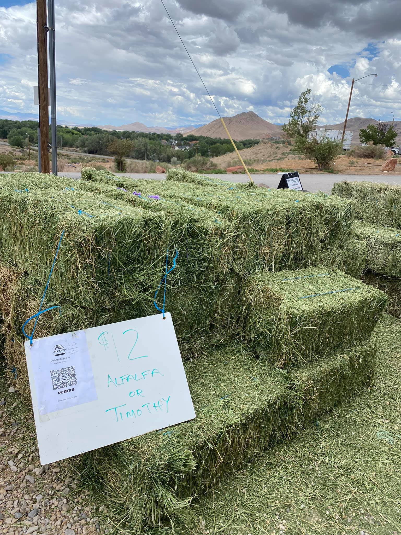 Ruby Buckle - Hay is available at Blackhawk Arena! Located... | Facebook