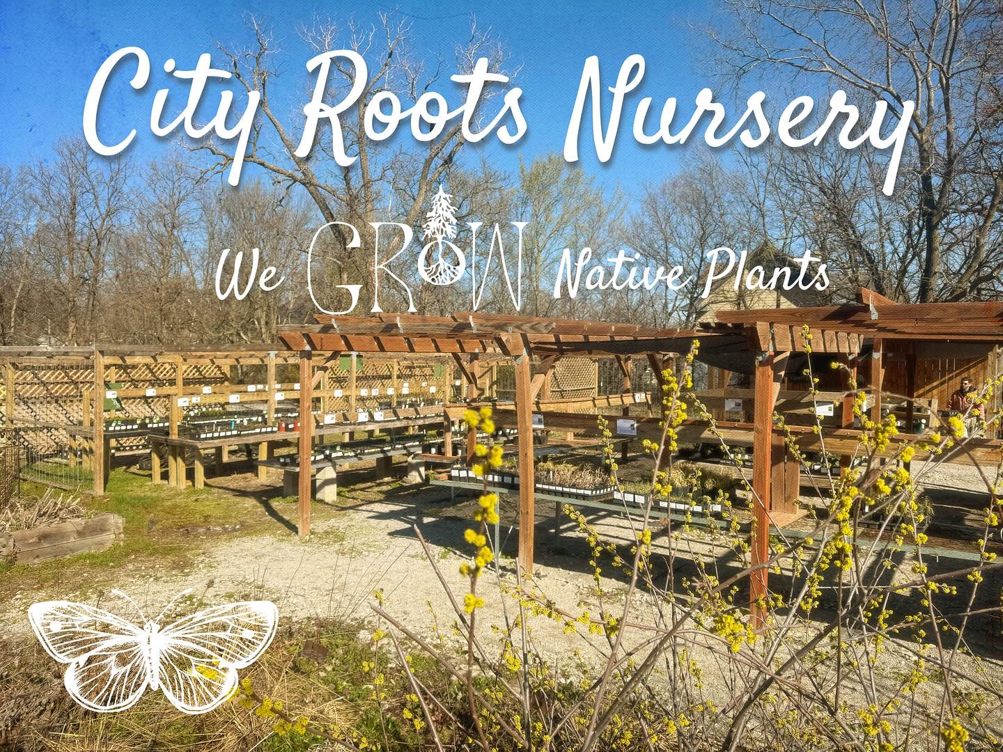 City Roots Nursery added a new photo. - City Roots Nursery