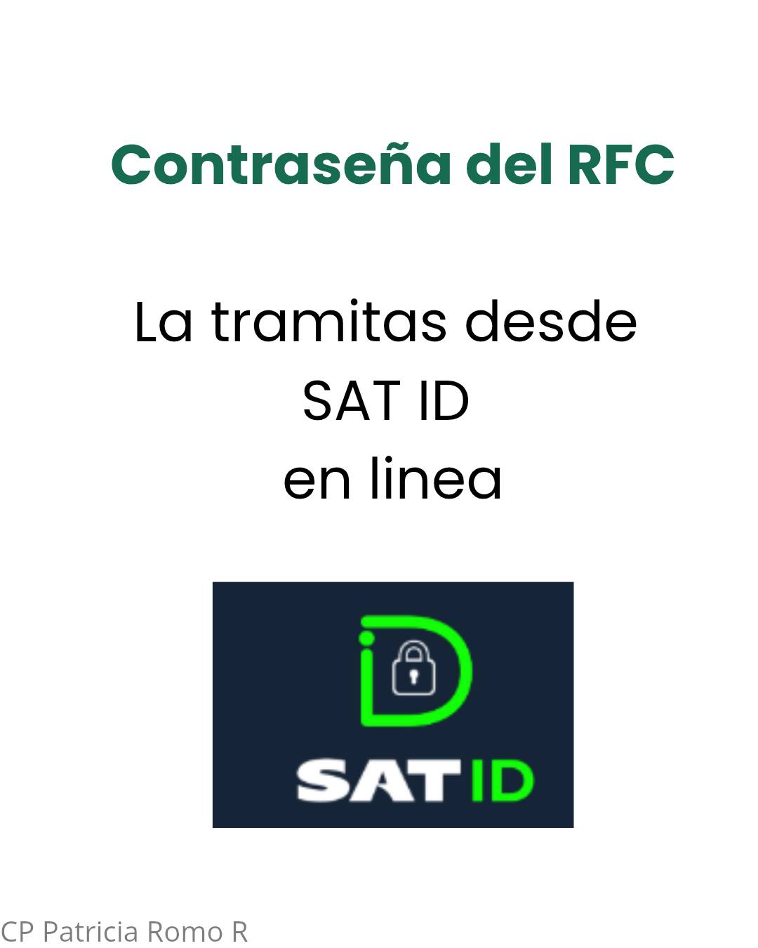 Contadora Patricia Romo R
