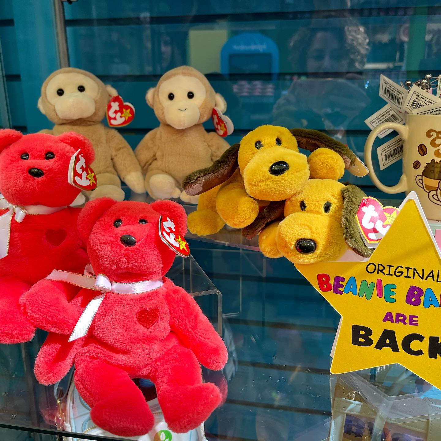 Our loveable Shoney Bear® plush is available for purchase at your