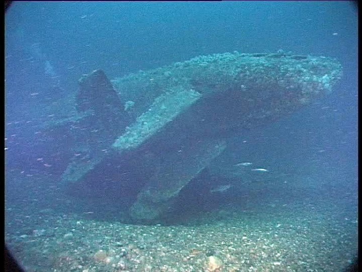 Military - U-Boat Hunter Dr Innes McCartney: discovery of U-637. The Dr ...