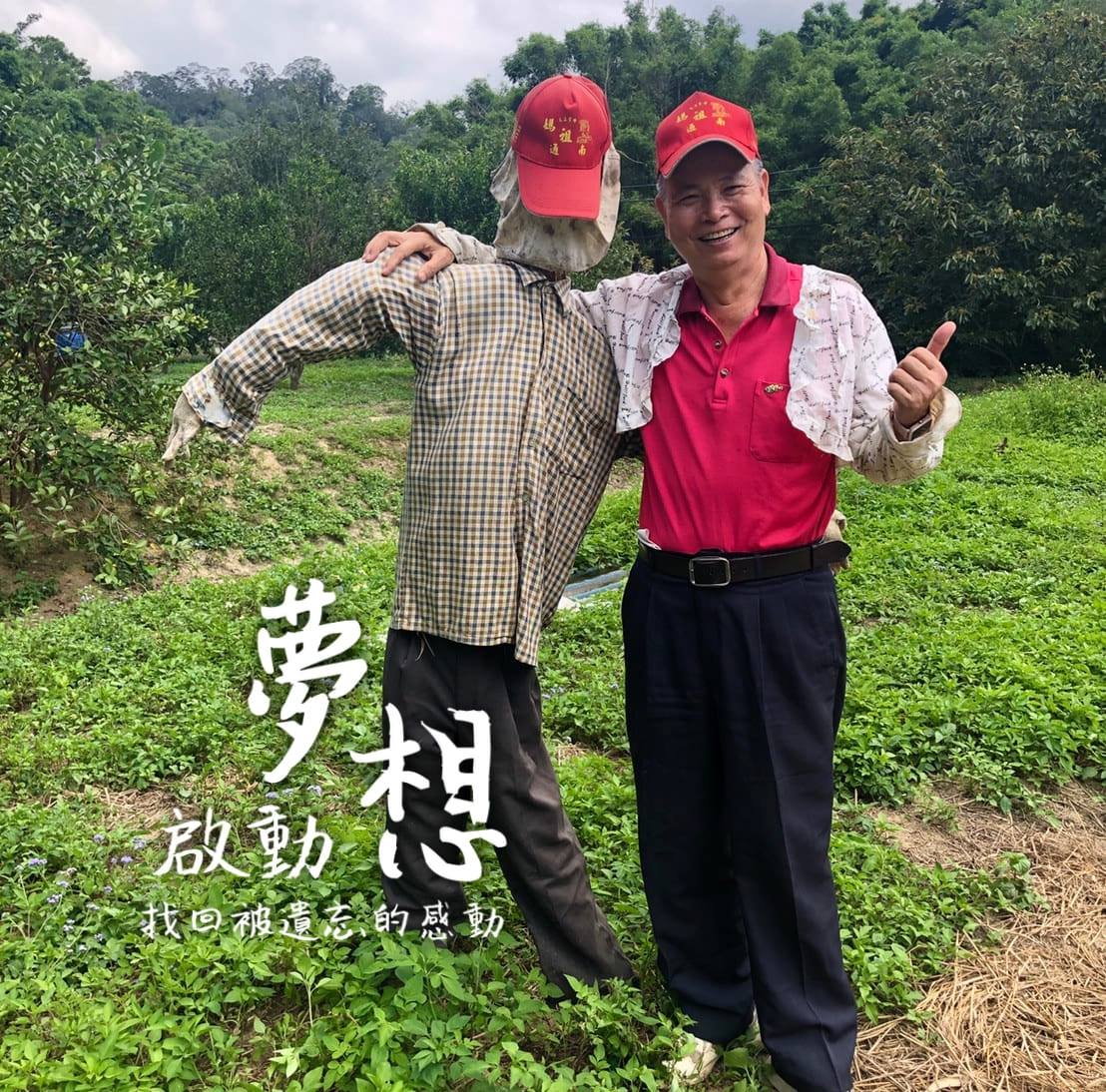 自製堆肥 | 林萬發