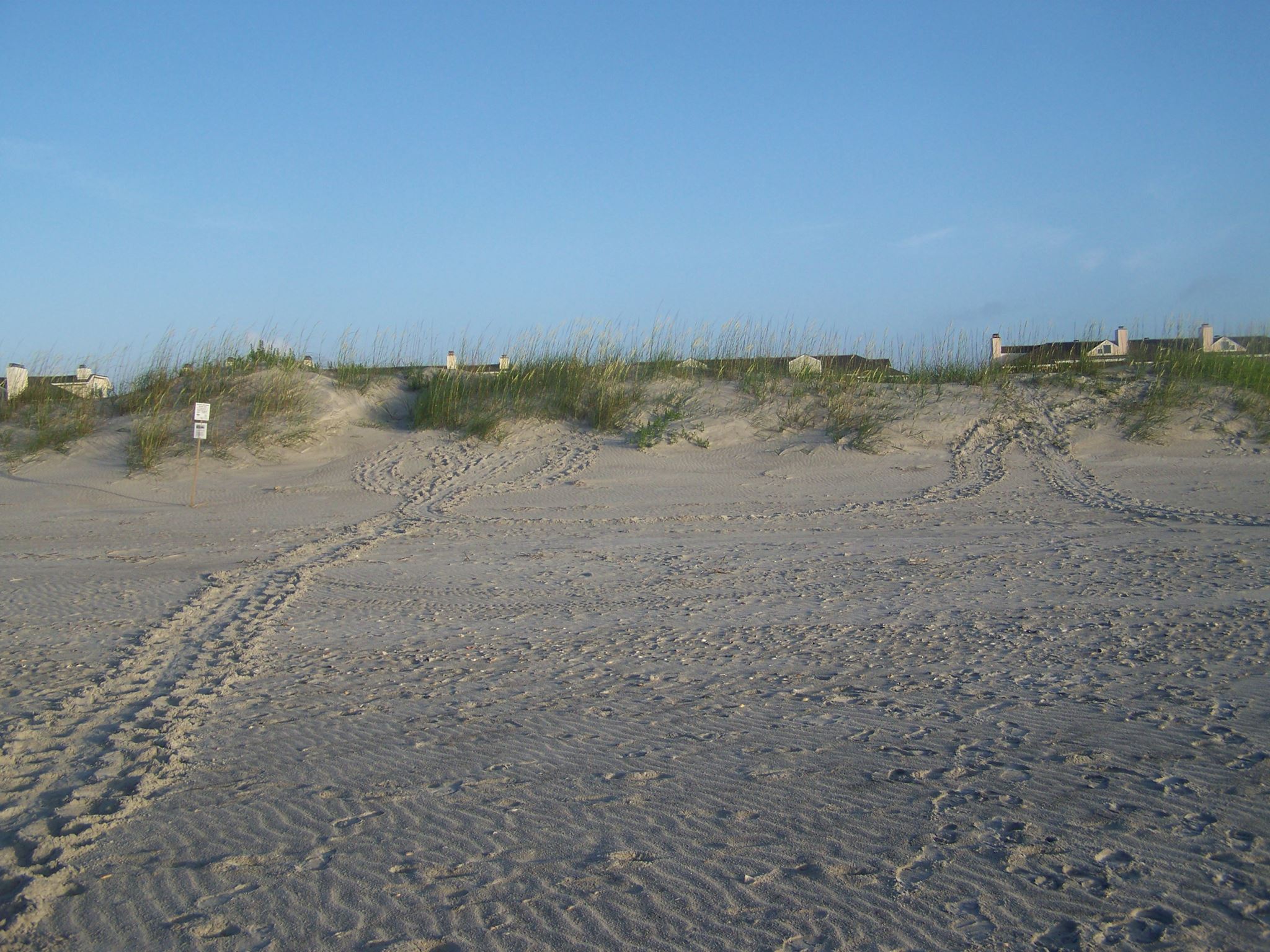 Wrightsville - Tuesday night at Wrightsville Beach brought not just one ...