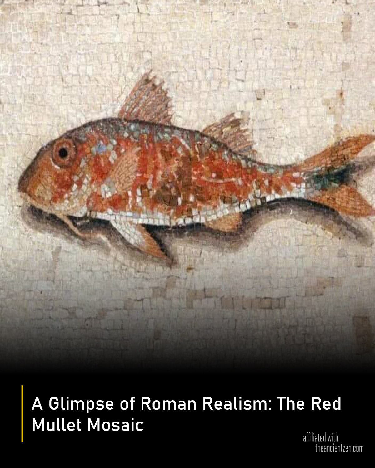 Ancient Rome Fish Mosaics