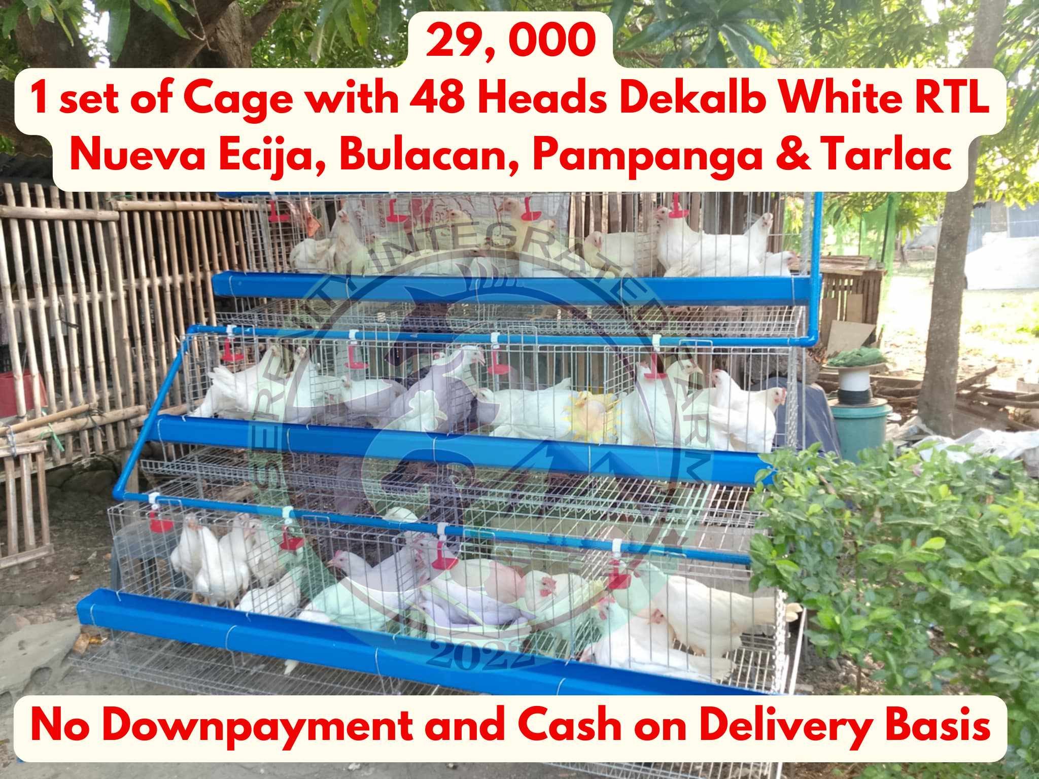 𝗦𝗲𝗿𝗲𝗻𝗶𝘁𝘆 - 📌 Sa Mga Ka Layer Natin Sa Nueva ecija, Bulacan, Pampanga At ...