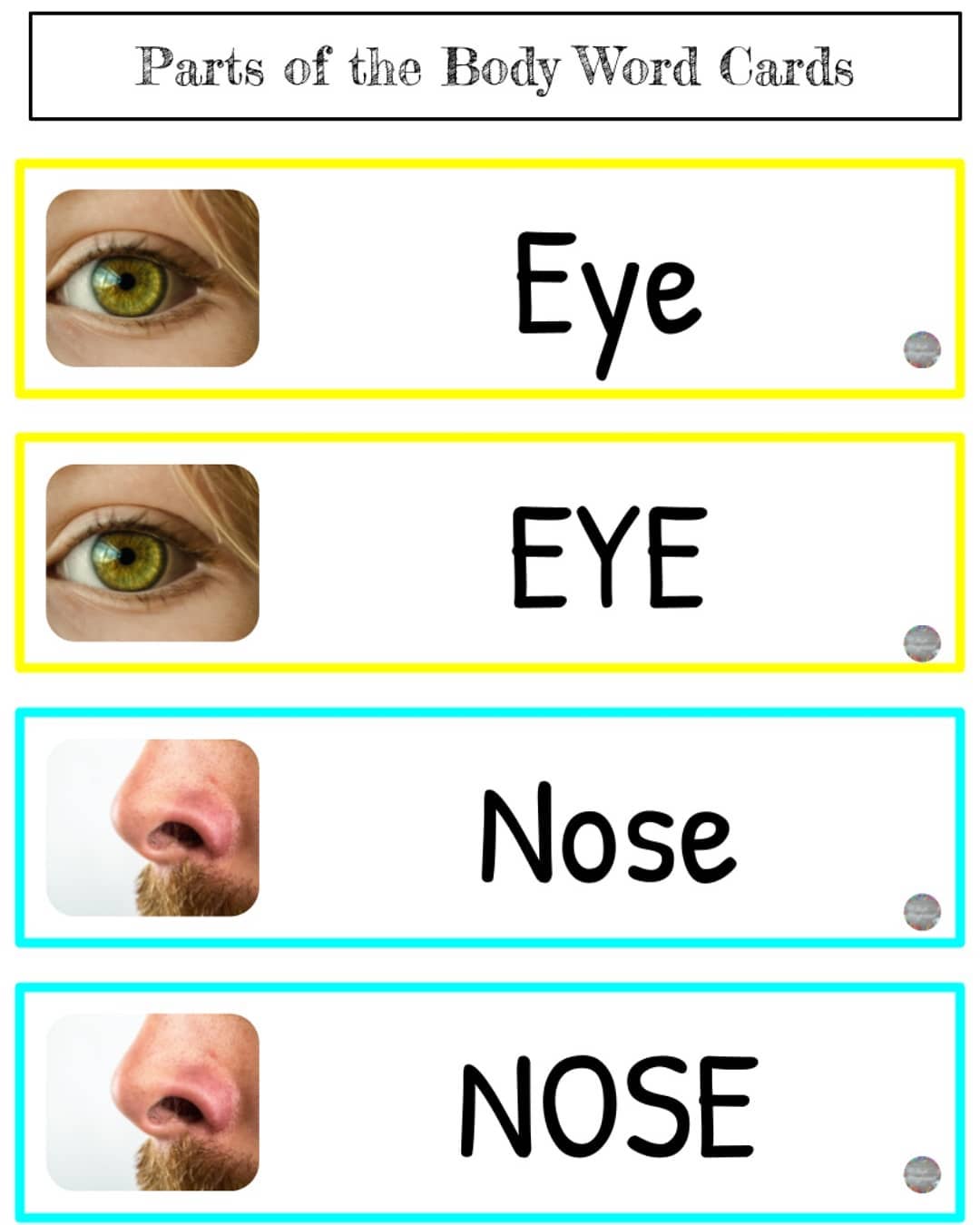 New Parts of the Body Word Cards are up... - Pre-K Playground