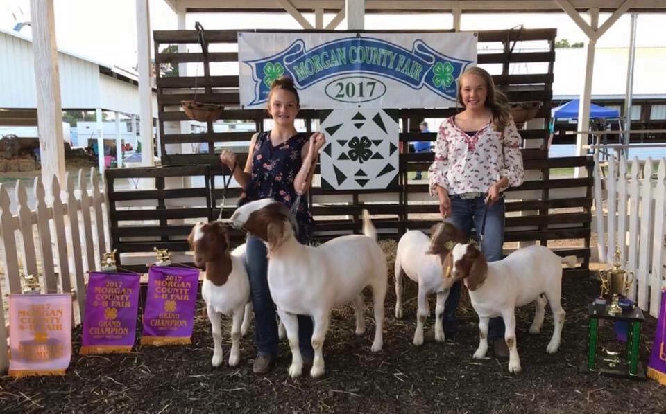 Roper Farm Boer Goats | Gosport IN