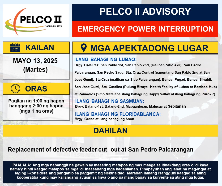 PELCO - PAUNAWA Ano: PELCO II Emergency Power Interruption Kailan: Mayo ...