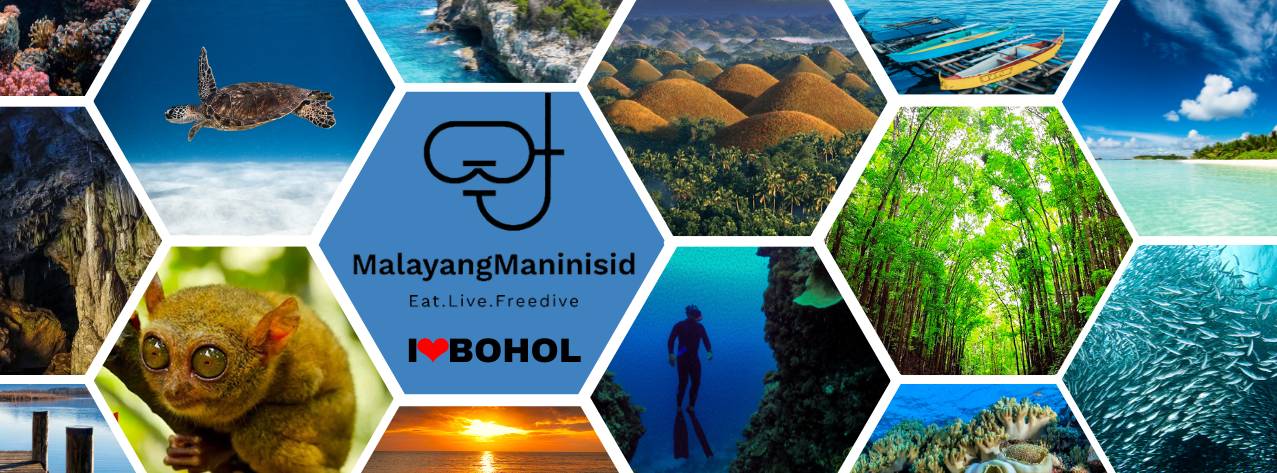 Malayang Maninisid