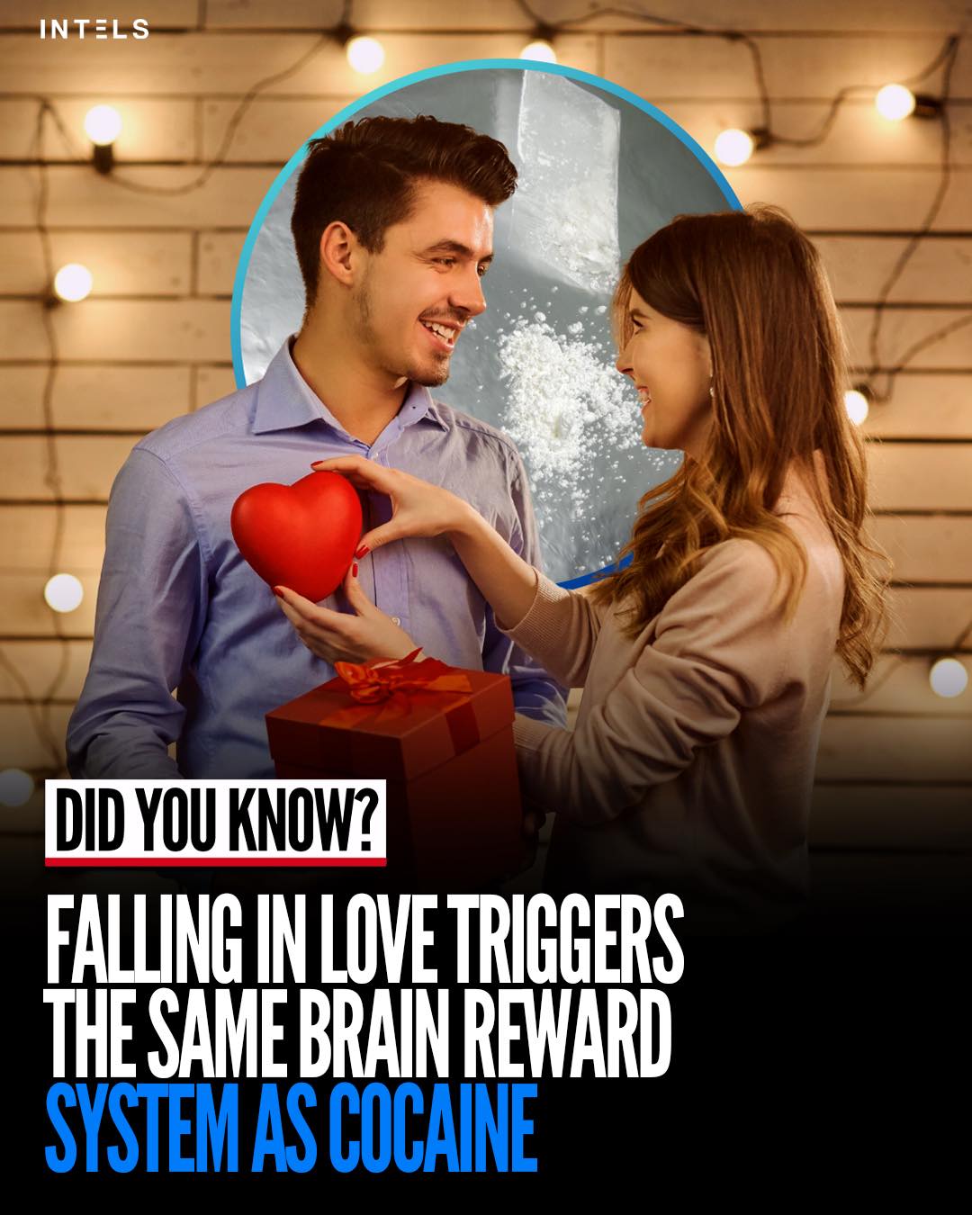 Intels - Studies show that falling in love activates the same brain ...