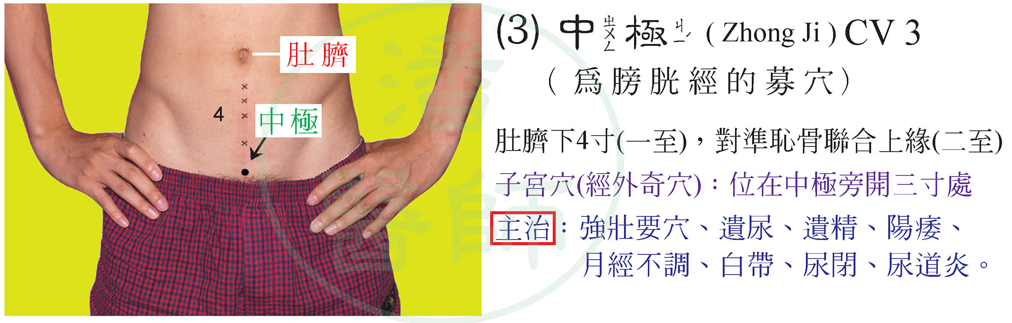 潘隆森醫師 - 112/03/29（三） 今天要跟大家講解與分享的題目是： 第十三條經絡：任脈（24穴）簡介（三）... | Facebook