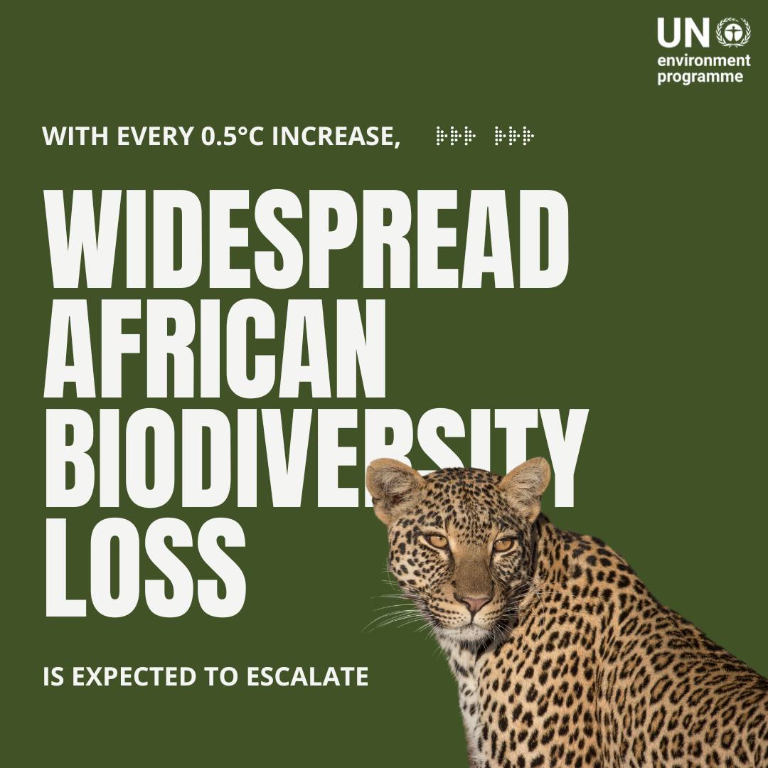 UN - The triple planetary crisis of #ClimateChange, biodiversity loss ...