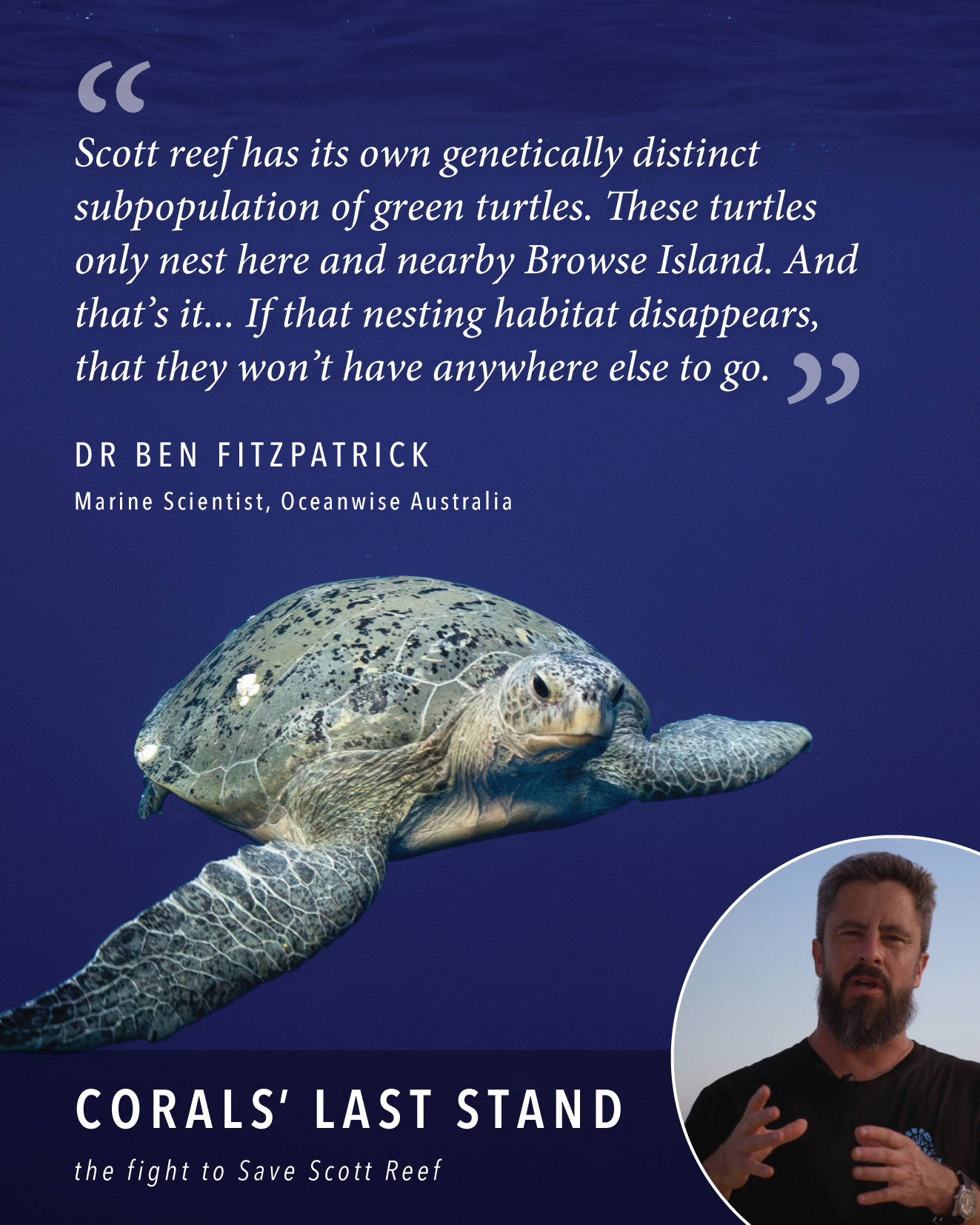 Black - BLACK Cockatoo Crisis's sister film Corals' Last Stand will ...
