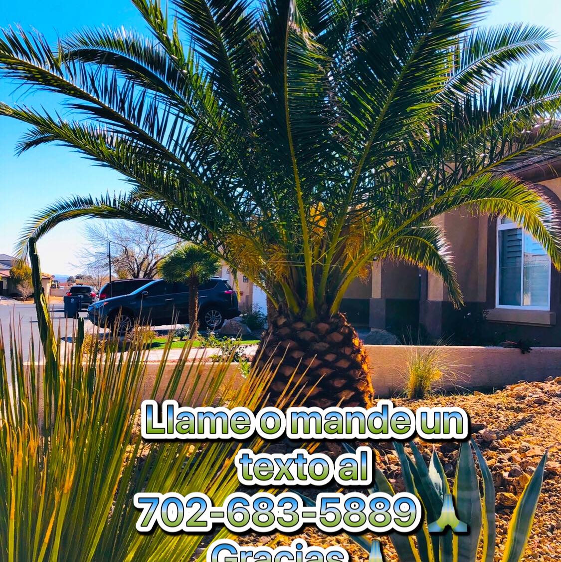 Tus amigos tree services