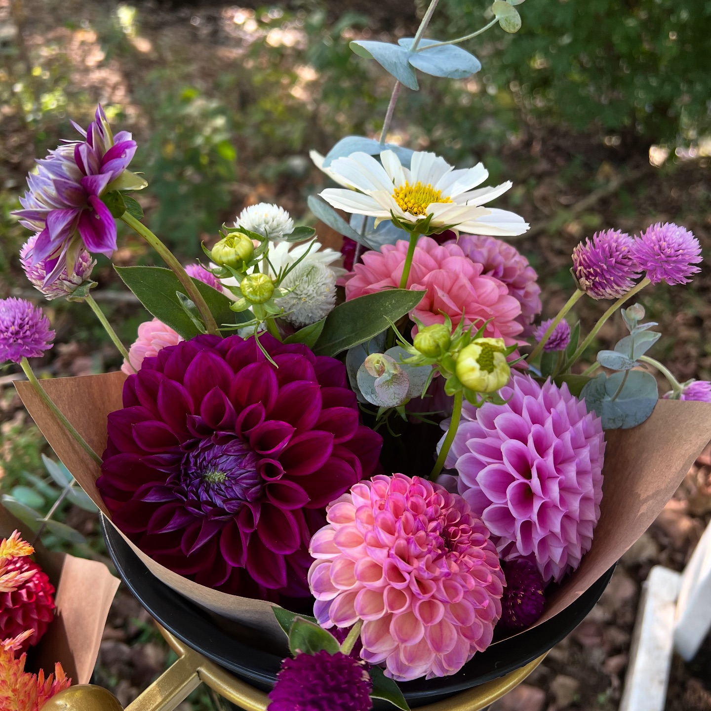 Home on the Hill Cut Flowers | Lexington IN