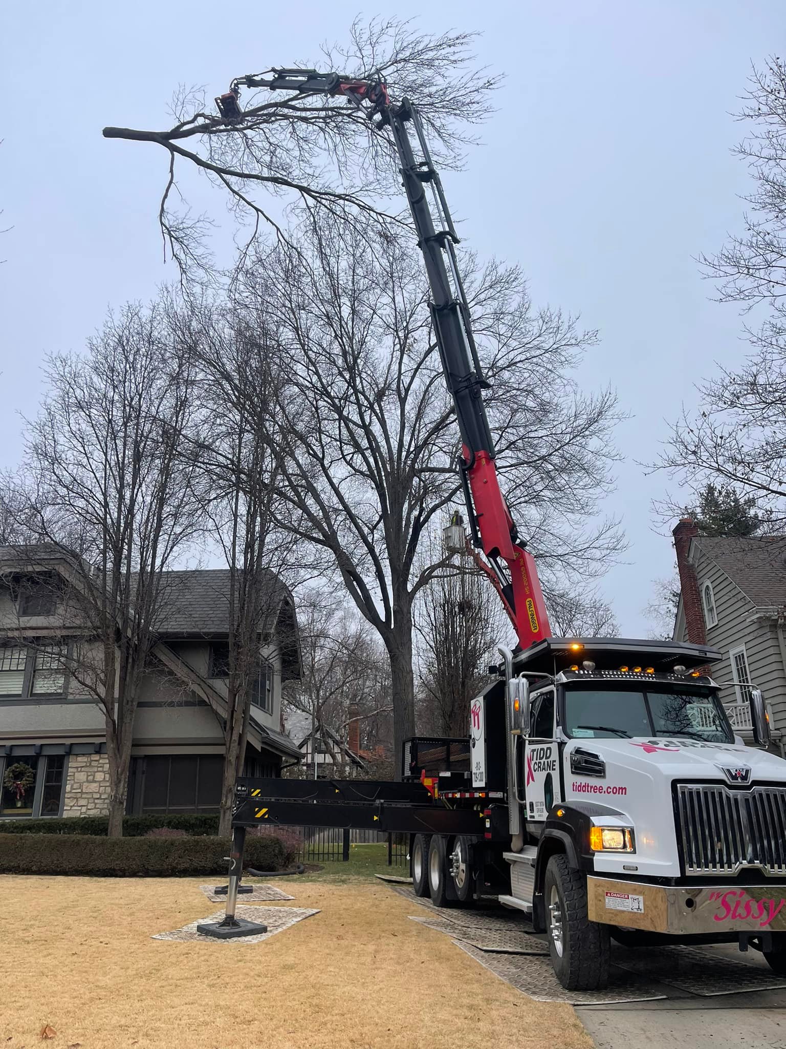 RC Tree Service | Kansas City MO