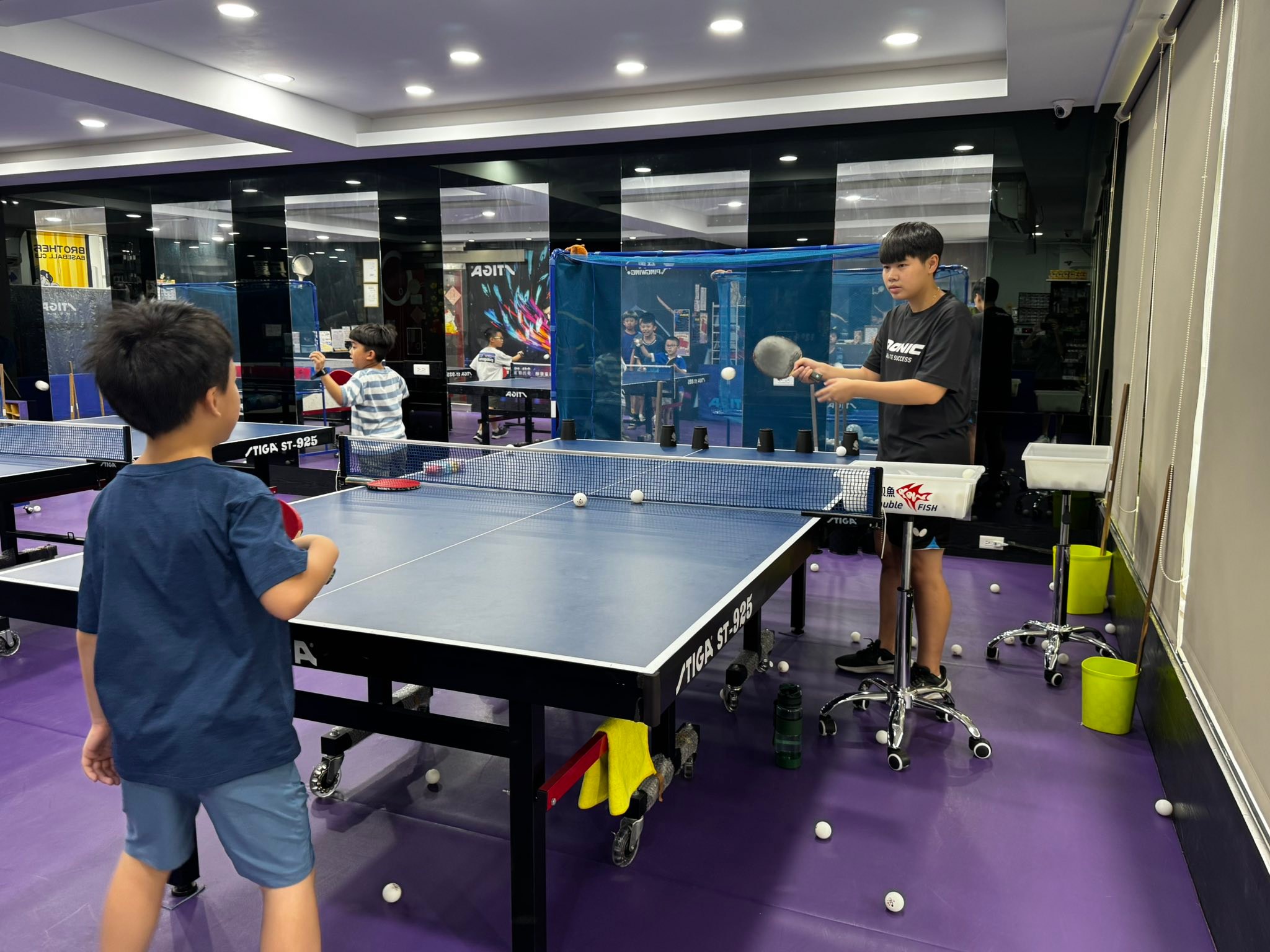 乒翼pingwing桌球運動館
