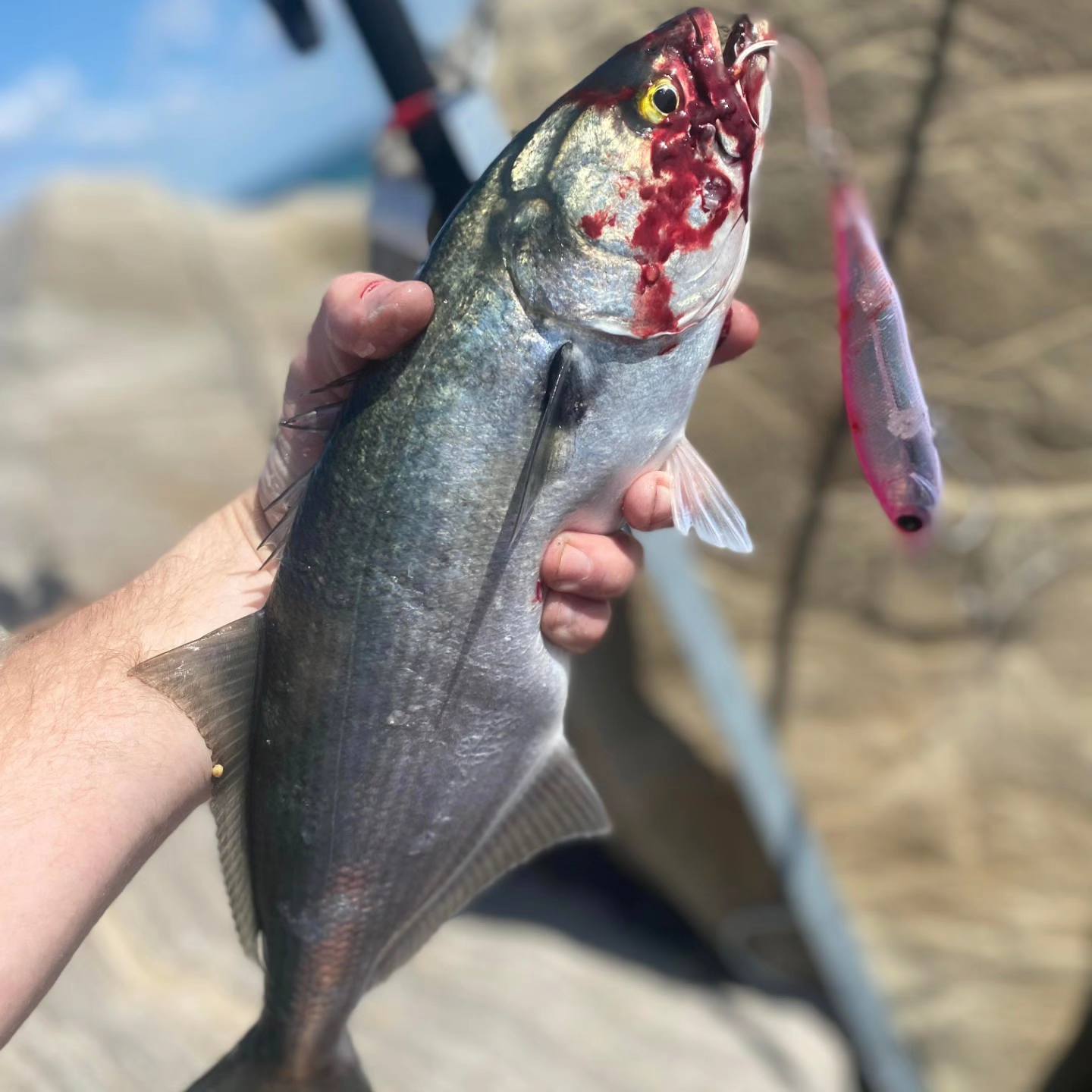 fish on lures ballito Saltwater Fishing for Tuna, Mahi Mahi, Marlin, Wahoo, Sailfish, Dolphin, Dorado VIDEO: Epic fishing fail off